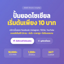เซิฟ EZ Setup บริการ ออโต้ Social Boost & Game Services