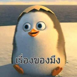 เซิฟ 25.20.0.87