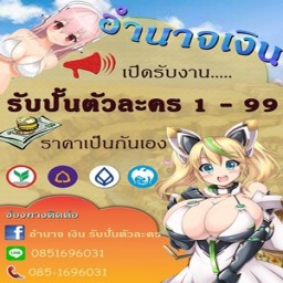 เซิฟ รับปั้นตัวละคร รับจ้างเก็บ Lv 1 - 99 เกม RO - EXE