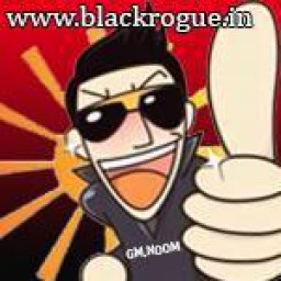 เซิฟ BlackRogue.in