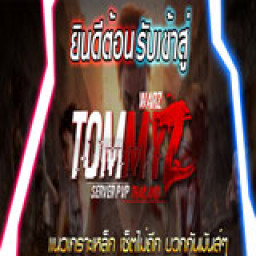 เซิฟ Warz Tommy - แนวเกราะเหล็ก