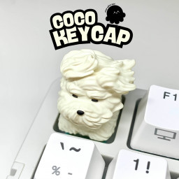 เซิฟ Stay With Key ร้านขายKeycap