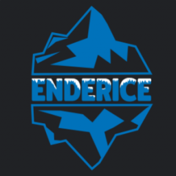 เซิฟ Enderice Network