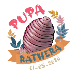 เซิฟ Pupa rAthera Open04-05-2020 8โมงเช้าลุยๆ