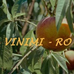 เซิฟ VIMINI-RO