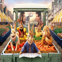 เซิฟ Peter Rabbit 2: The Runaway ภาพยนตร์เต็มออนไลน์